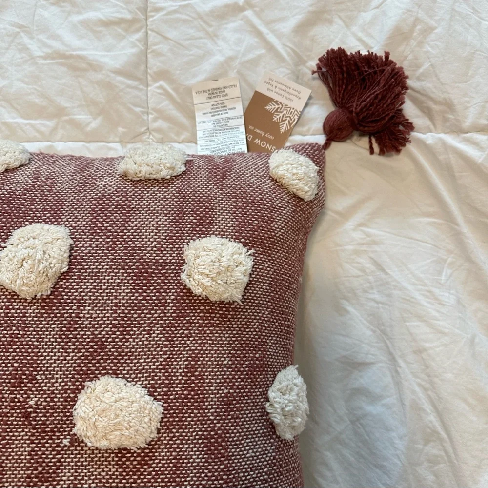 Cozy Home Co. Pottery Barn Anthropologie Bohemian Pom Pom Woven Tassel Pillow